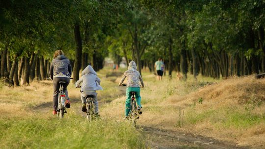 Fietsen meenemen op vakantie